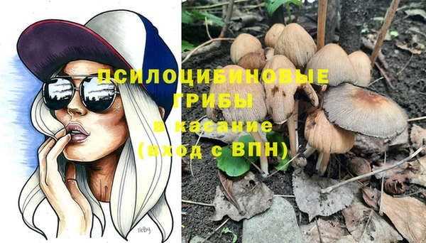 PSILOCYBIN Алексин