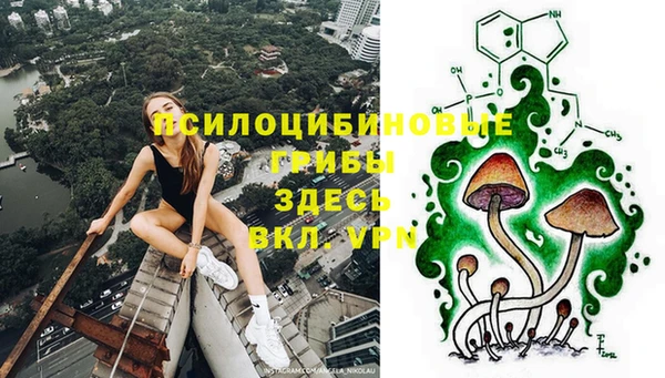 PSILOCYBIN Алексин