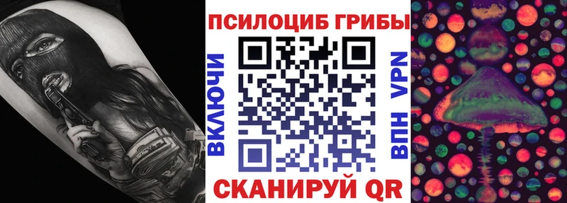 Галлюциногенные грибы мицелий  дарнет шоп  Жуковка 